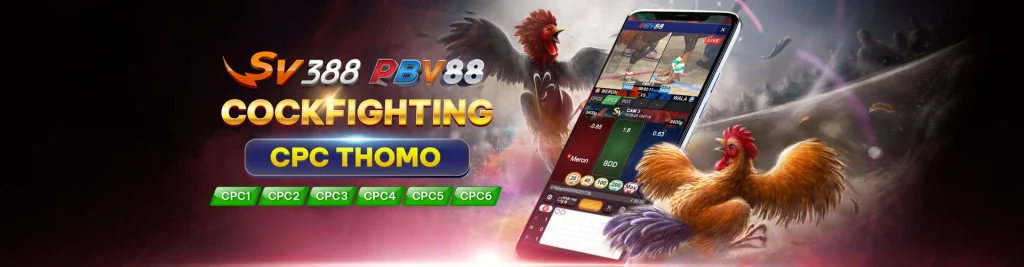 pbv88 sabong